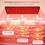 Morfone Red Light Therapy for Body Face - Image 3